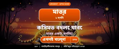 007 bet গেমিং এক্সপেরিয়েন্স